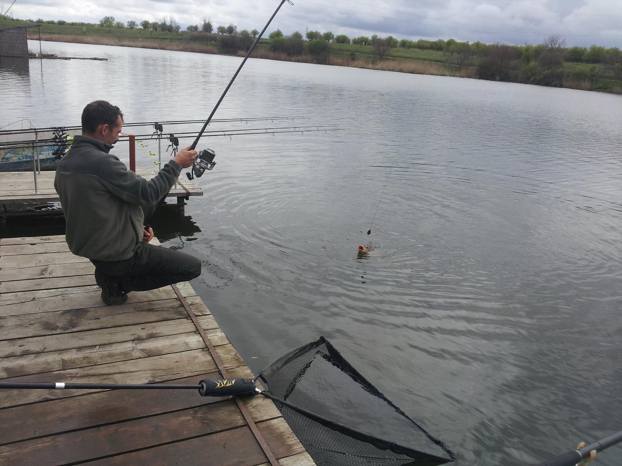 Tancabesti 11 - 12 apr. - 20000101030454.jpg